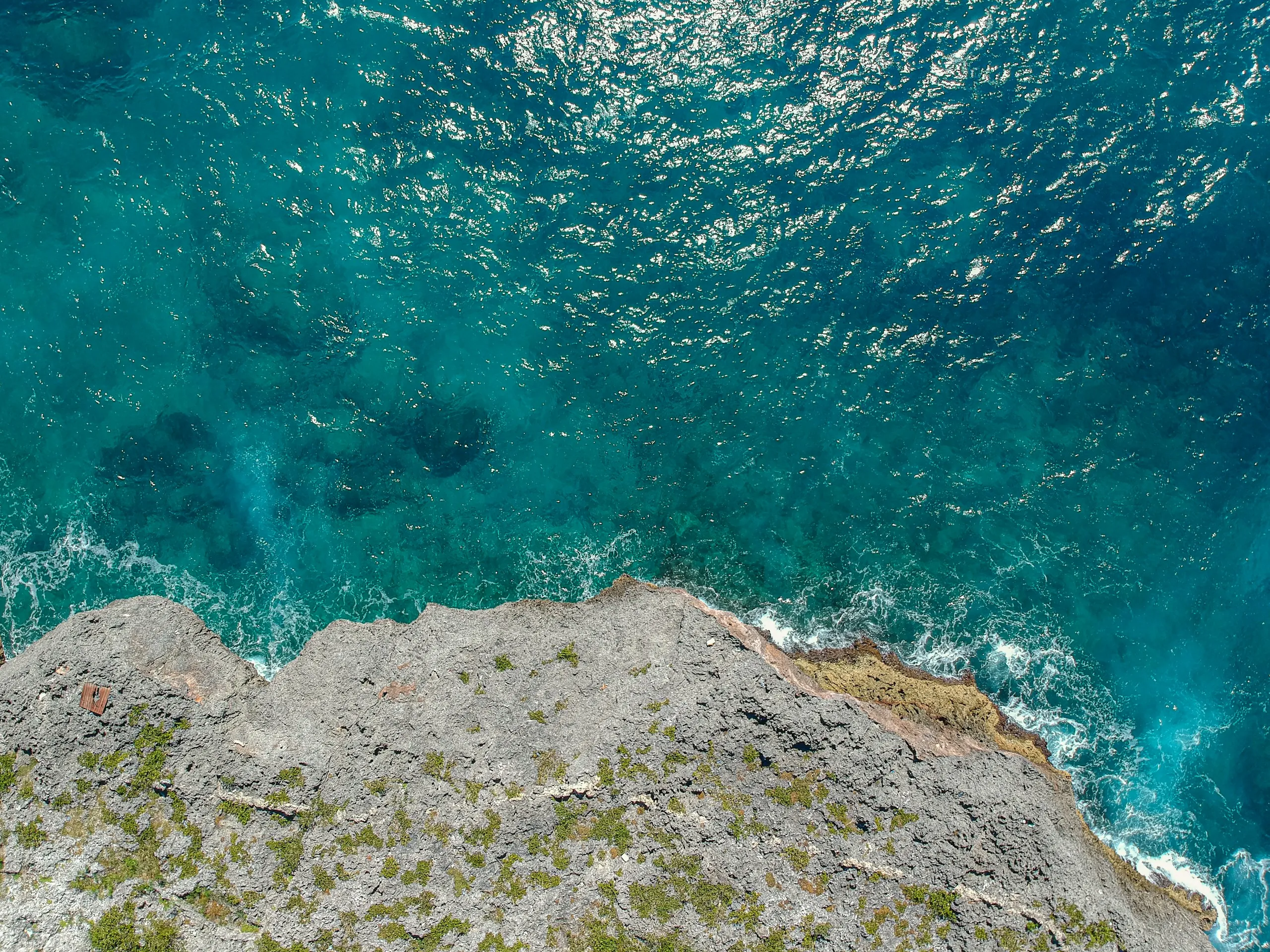 Arrecife coral