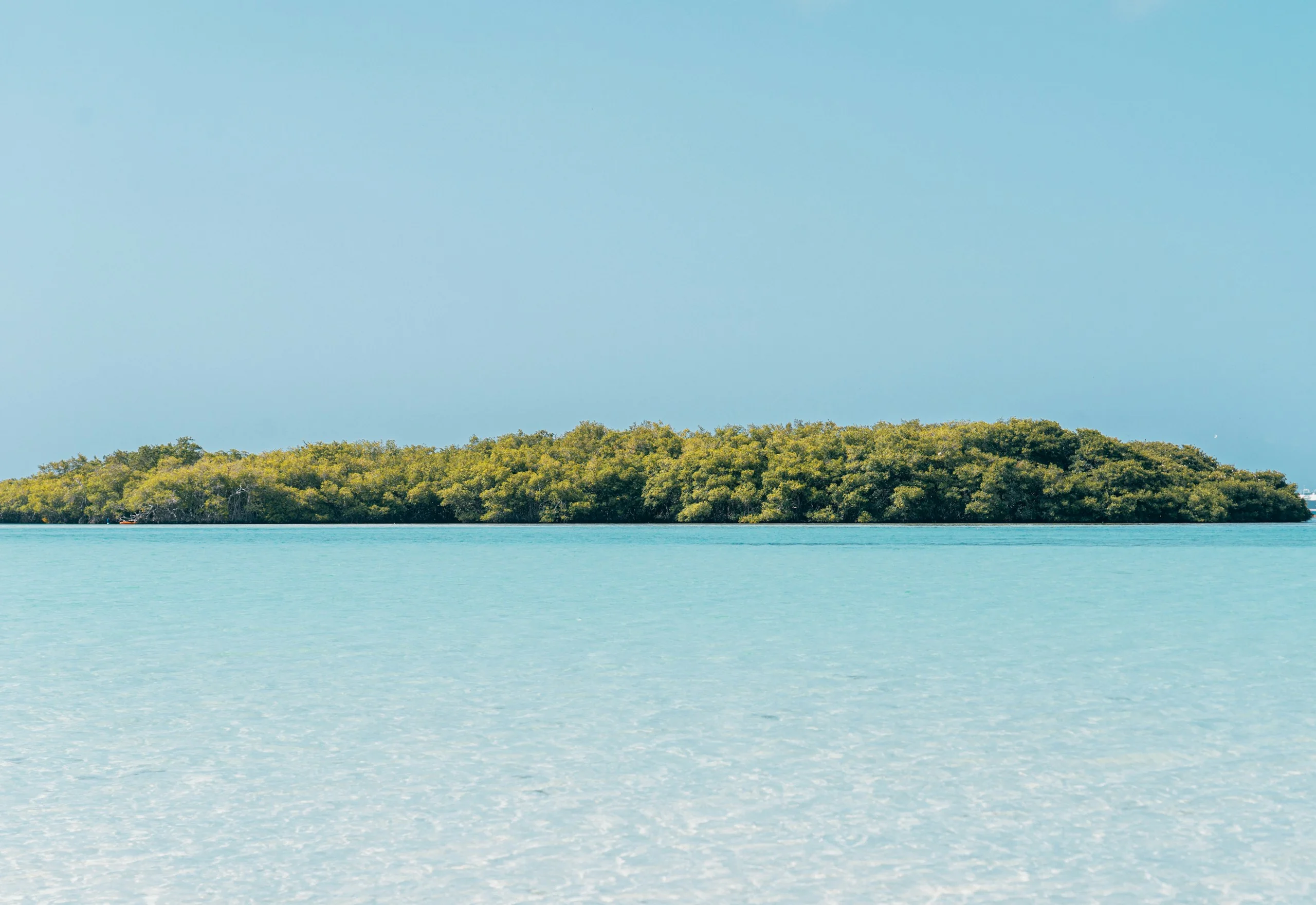 Islote laguna