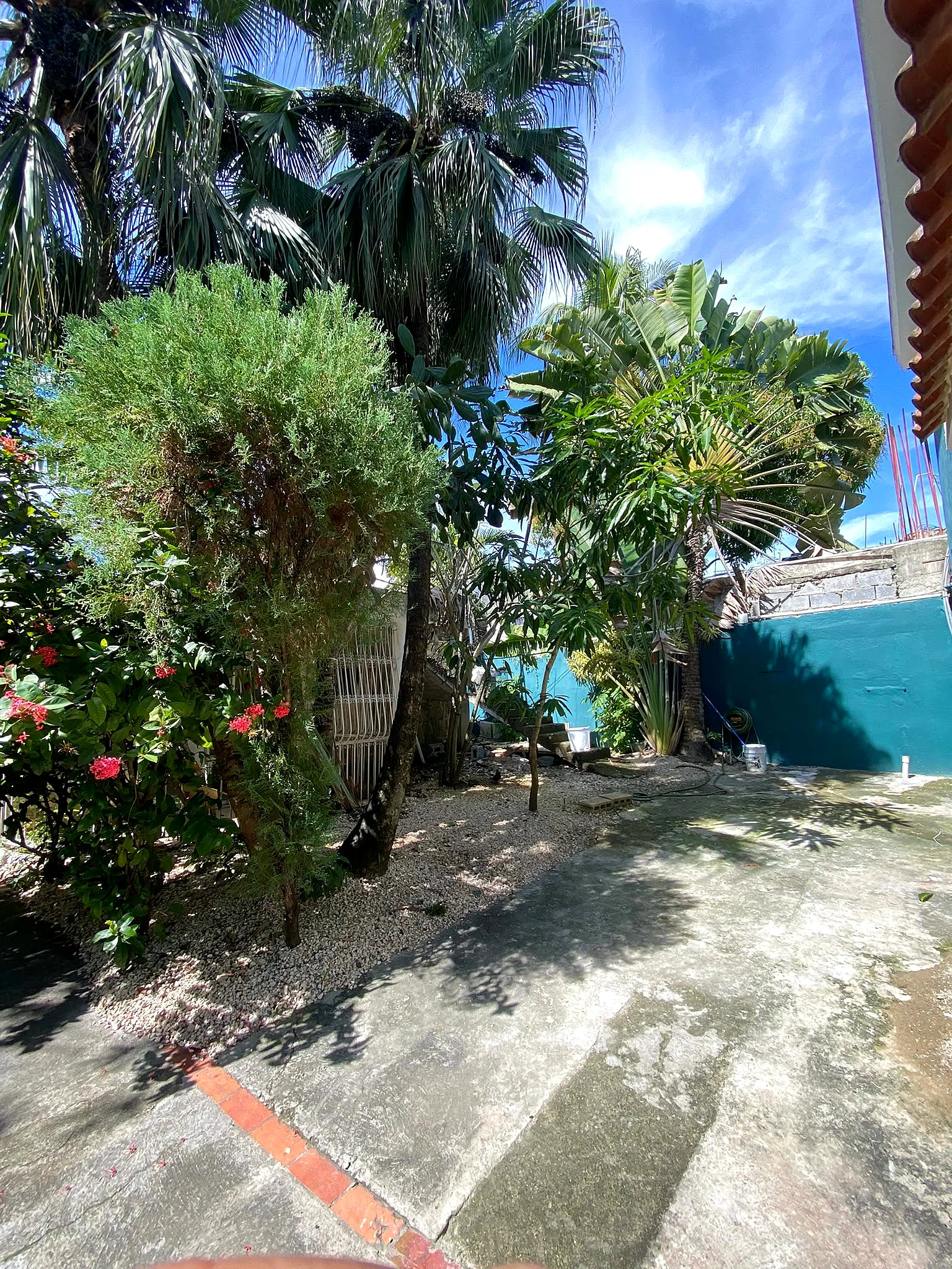 Jardines palmas